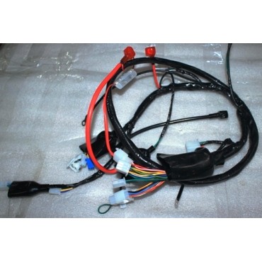Arora Freedom 50 Elektri̇k Tesi̇sati (Euro 5)